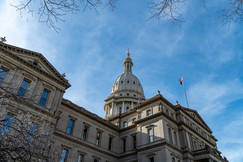 Former President Donald Trump has endorsed Tudor Dixon in Michigan's Republican primary for governor, just days before the election that will determine the party's opponent for Gov. Gretchen Whitmer.