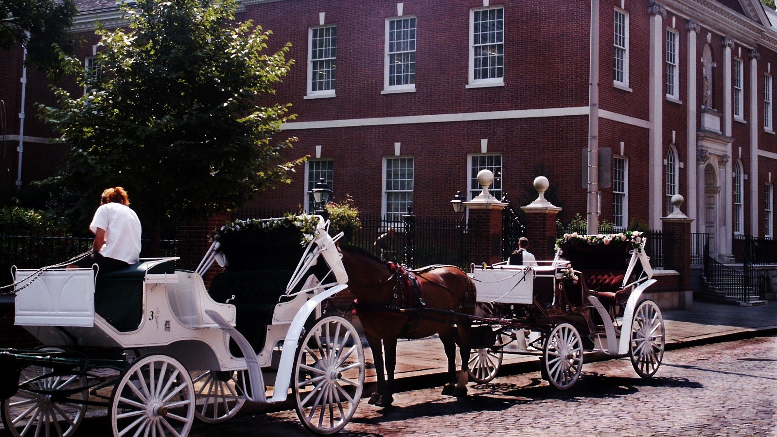 Activists call for end of horse-carriage tours in Philadelphia