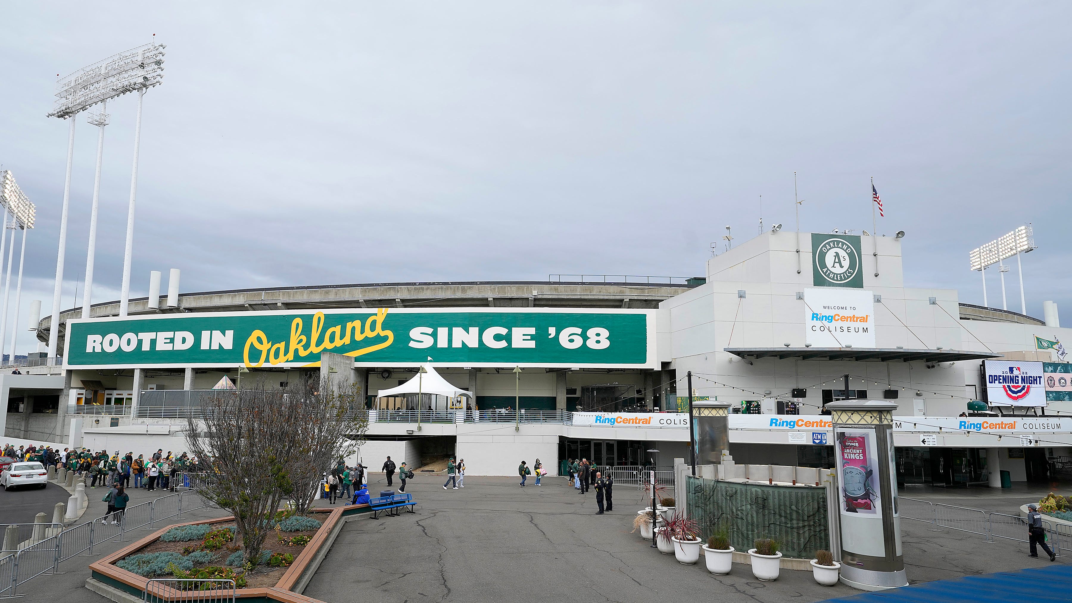 The feral cats get to stay at their Oakland Coliseum home