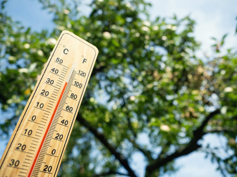 Temperature
