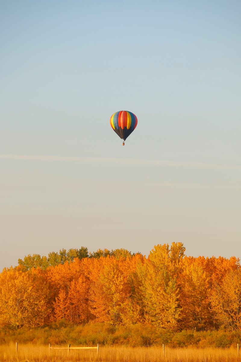 Balloon over Fall foliage
