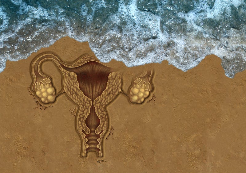 Reproductive organs and the ocean. 