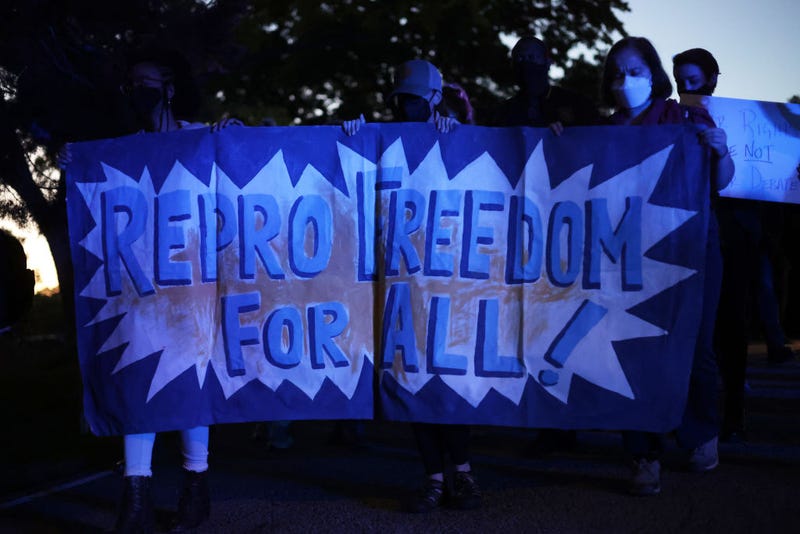 Abortion-rights advocates stage a protest outside U.S. Associated Justice Samuel Alito's house on May 09, 2022 in Alexandria, Virginia.