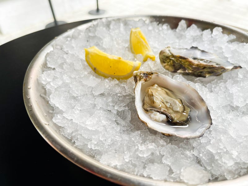 Side view of two fresh opened oysters on a stainless steel plate with ice and lemon.