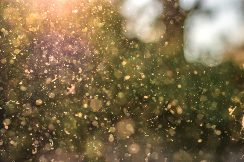Pollen