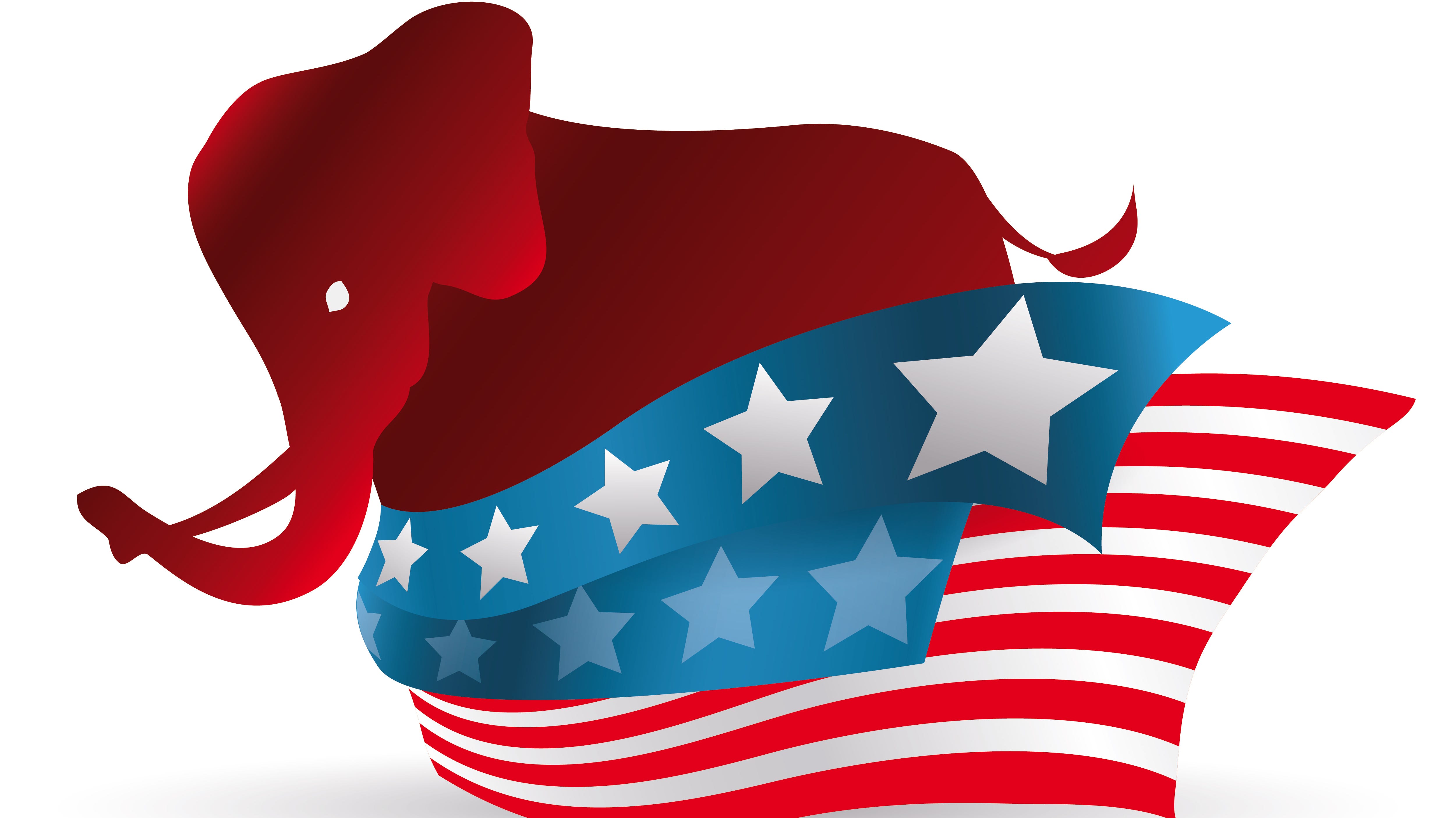 Illinois Republicans' disunity reason to blame for Bailey defeat, says former state party chairman