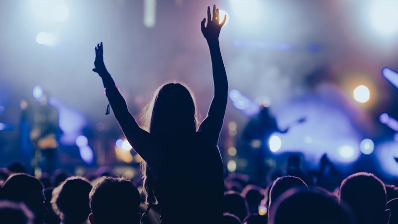 Festival crowd
