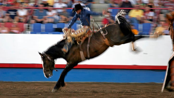 Houston Stock Show canceled because of  Coronavirus