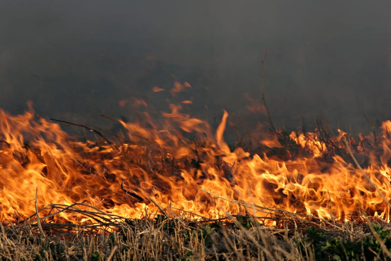 wildfires