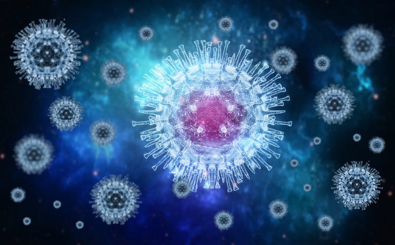Rendering of the monkeypox virus.