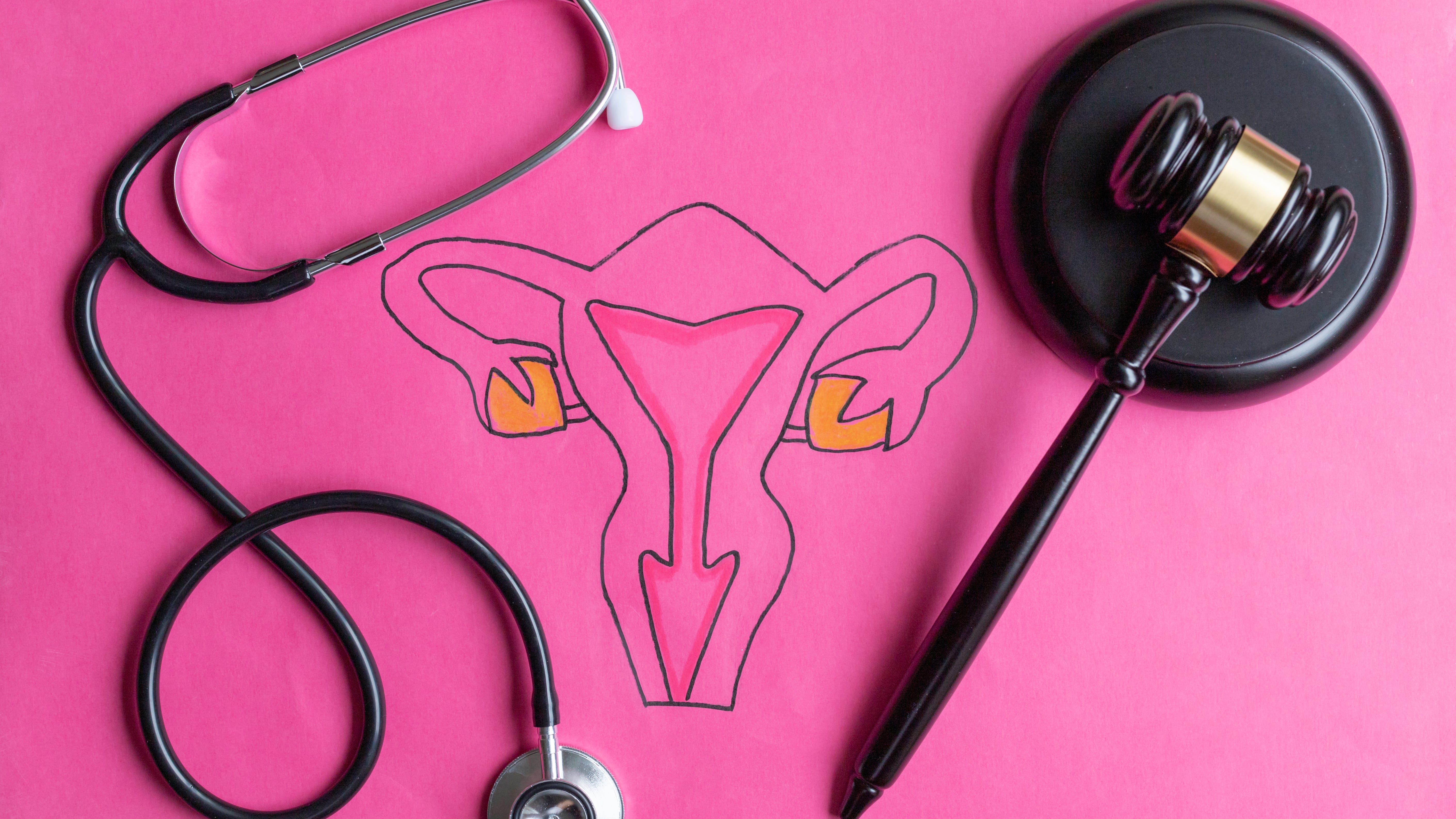 LISTEN: Abortion rights after Dobbs: Where are we now?