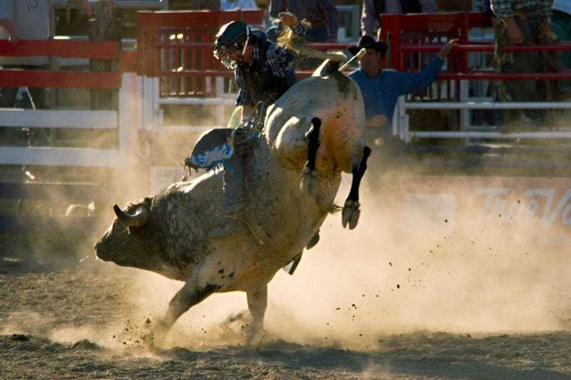 Six people are injured after a bull escaped from a Rodeo in Redding Friday night.