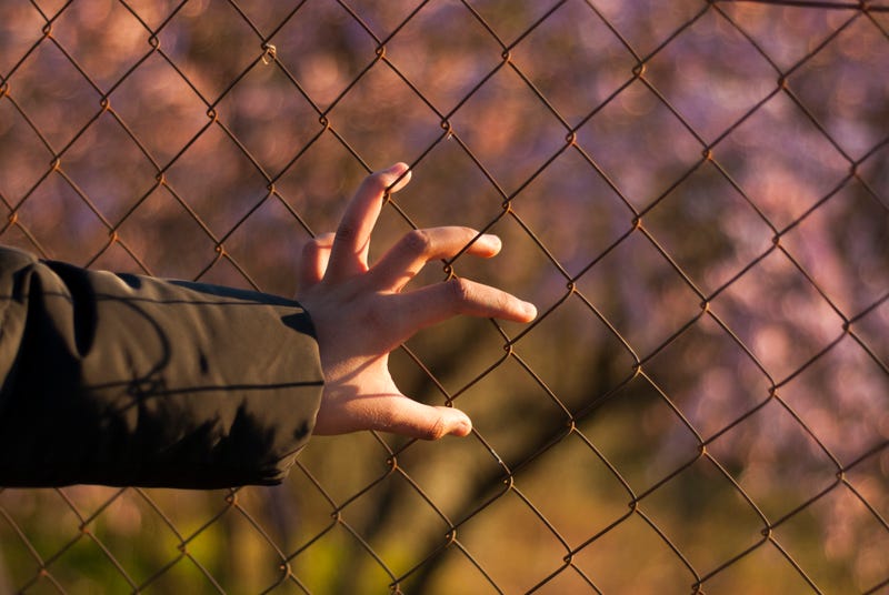 Hand on a wire fence