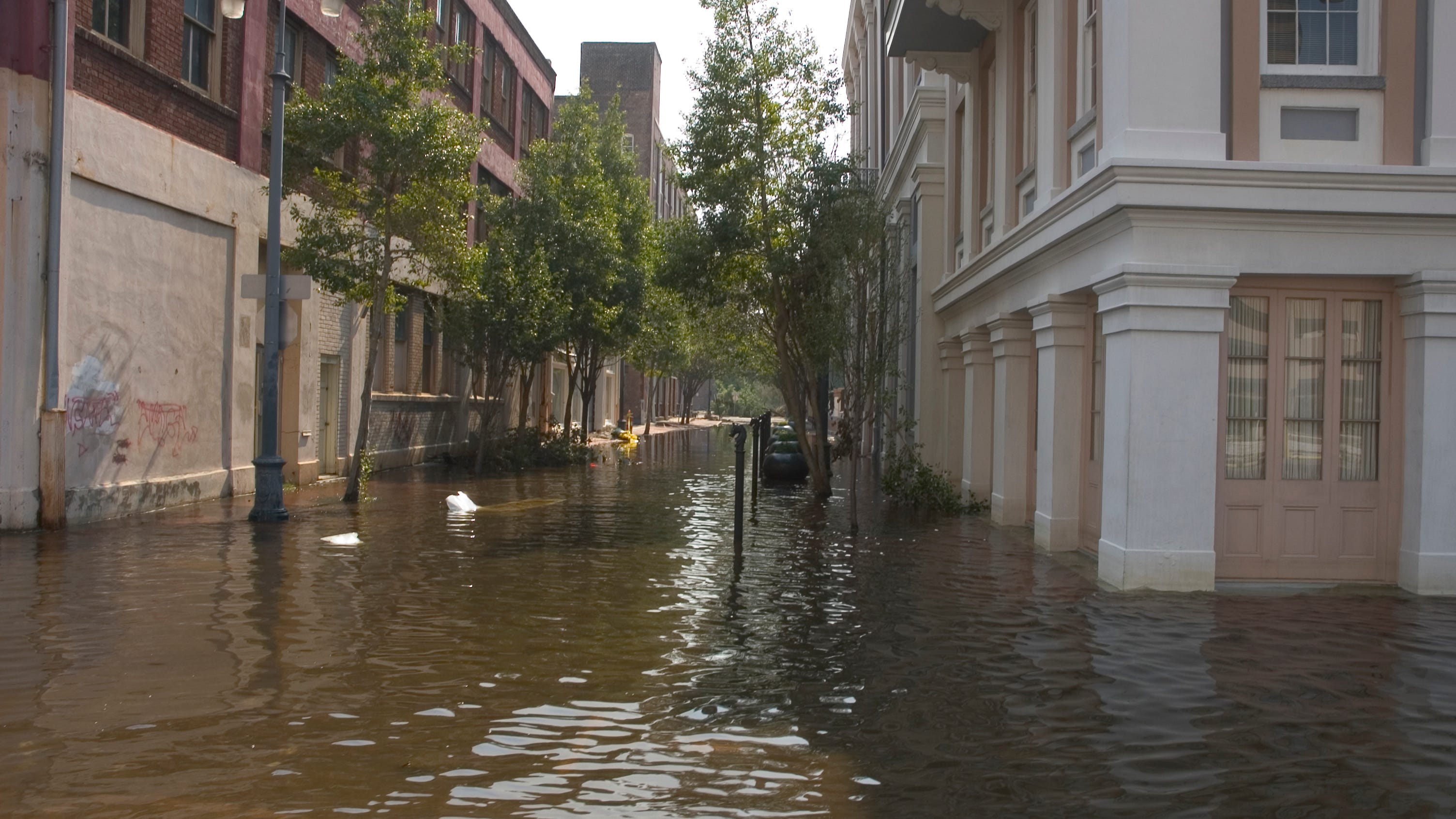 On Hurricane Katrina anniversary, former KYW reporter remembers the storm firsthand