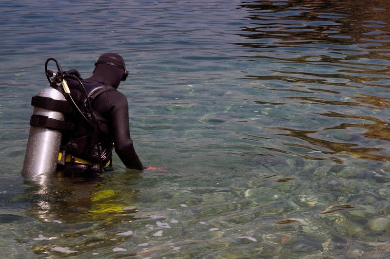 Diver