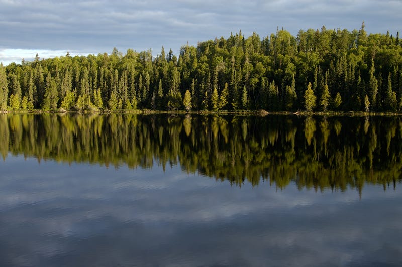 Boundary Waters Canoe Area in northern Minnesota. 