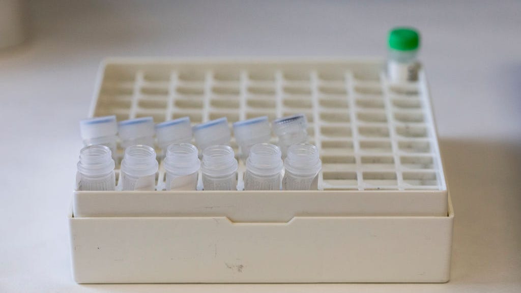WHO may declare monkeypox a global health emergency: Expert weighs in