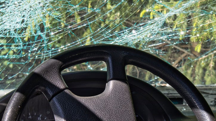 Pickup driver's body crushed beyond recognition in fatal collision with tree