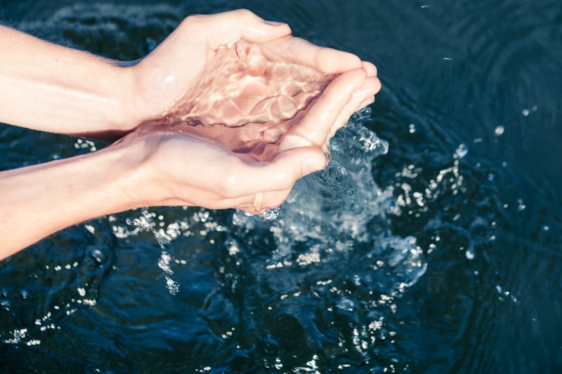 LA Residents Conserved 6 Billion Gallons of Water This Summer, LADWP Says