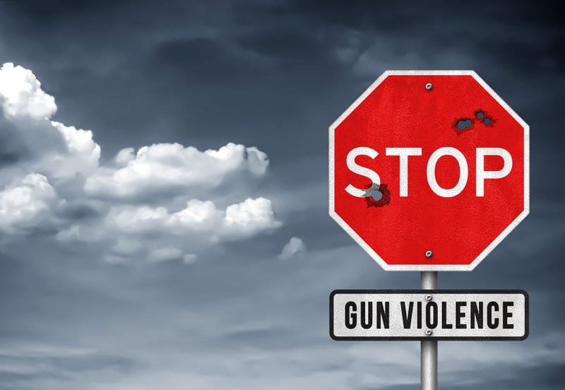Gun violence resulted in 564 deaths in 2024, a number that is alarming people like Maggiy Emery with the gun violence protection group Protect Minnesota.