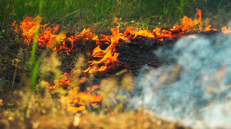 Firefighters across Tarrant County battle grass fire in Rendon