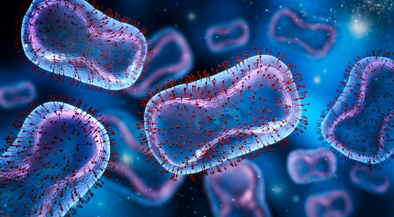 Medical illustration of Mpox virus - 3D illustration
