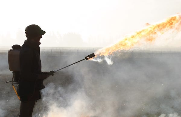 Man shooting flamethrower