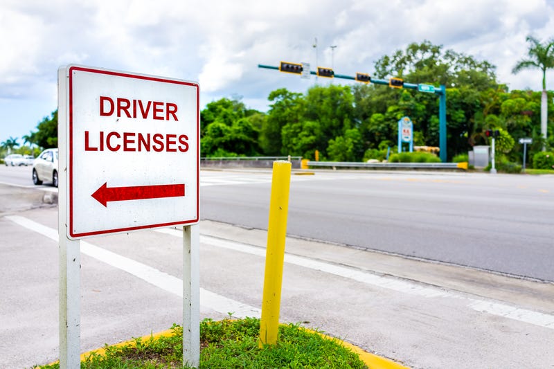 FILE: Driver's license