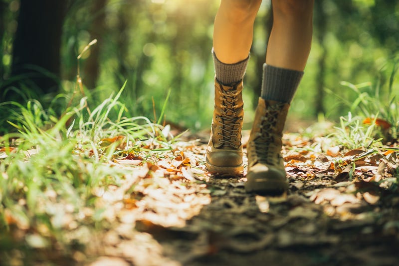 An elderly hiker was safely located after a brief search when she became separated from her hiking group in the Upper Peninsula on Thursday.