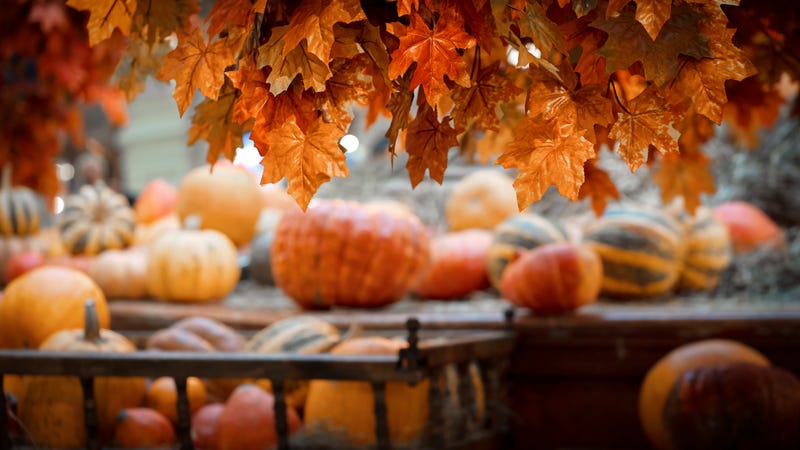 Your Guide to Fall Events in and around Philadelphia for 2025