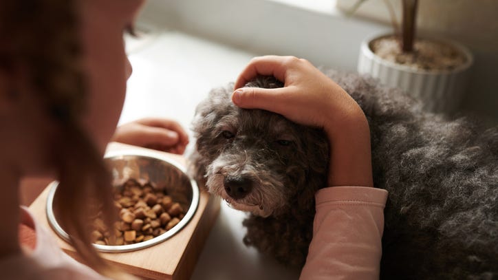 Purina expands recall for dog food that could kill your pet