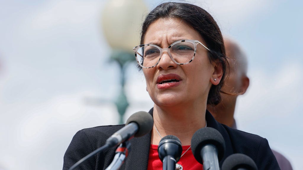 Michigan Reps. Tlaib, Levin arrested during abortion protest near Supreme Court