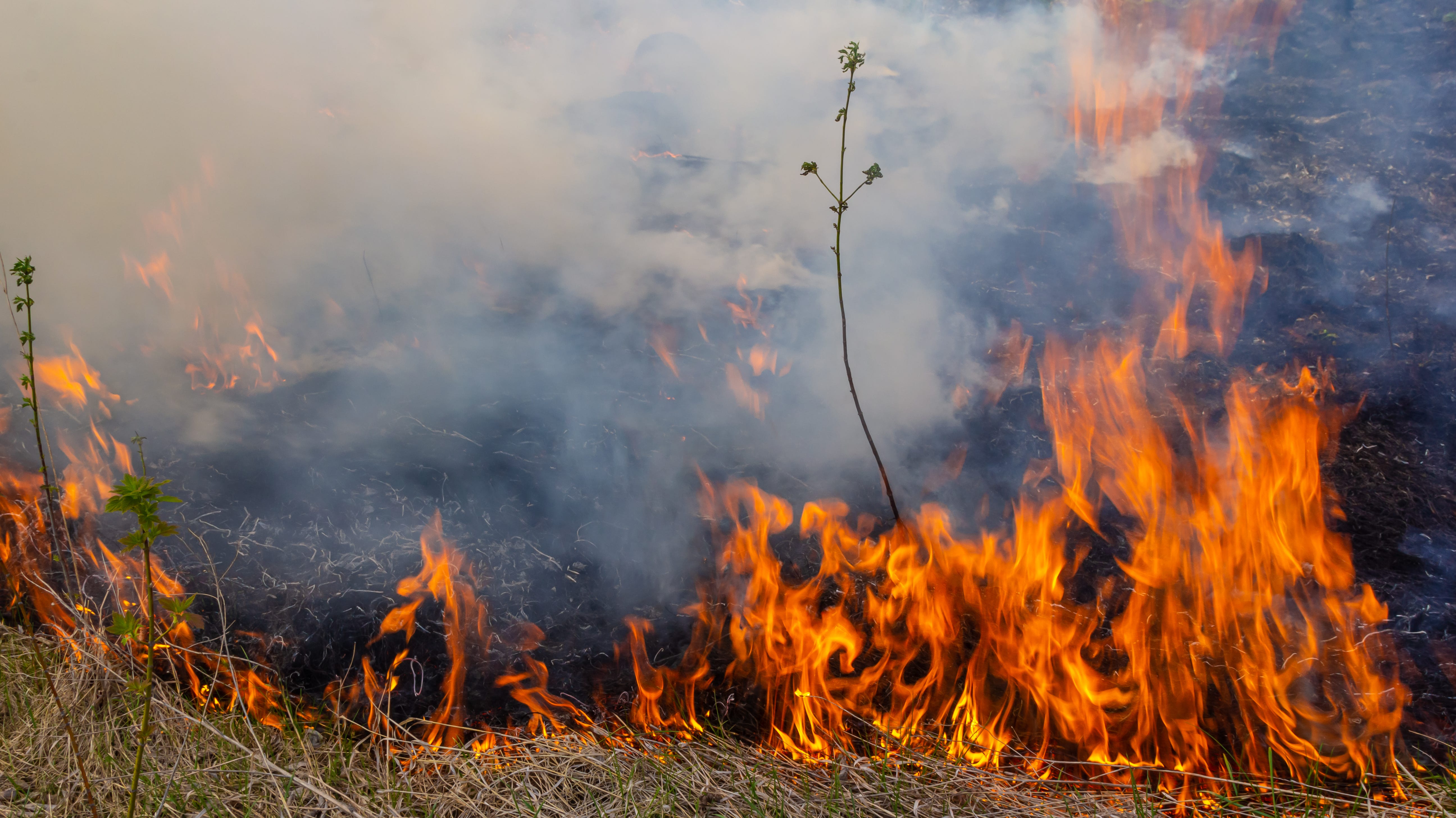 Fort Worth changing mowing procedures after Balch Springs grass fire