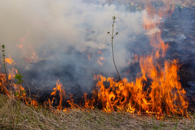 Grass fire