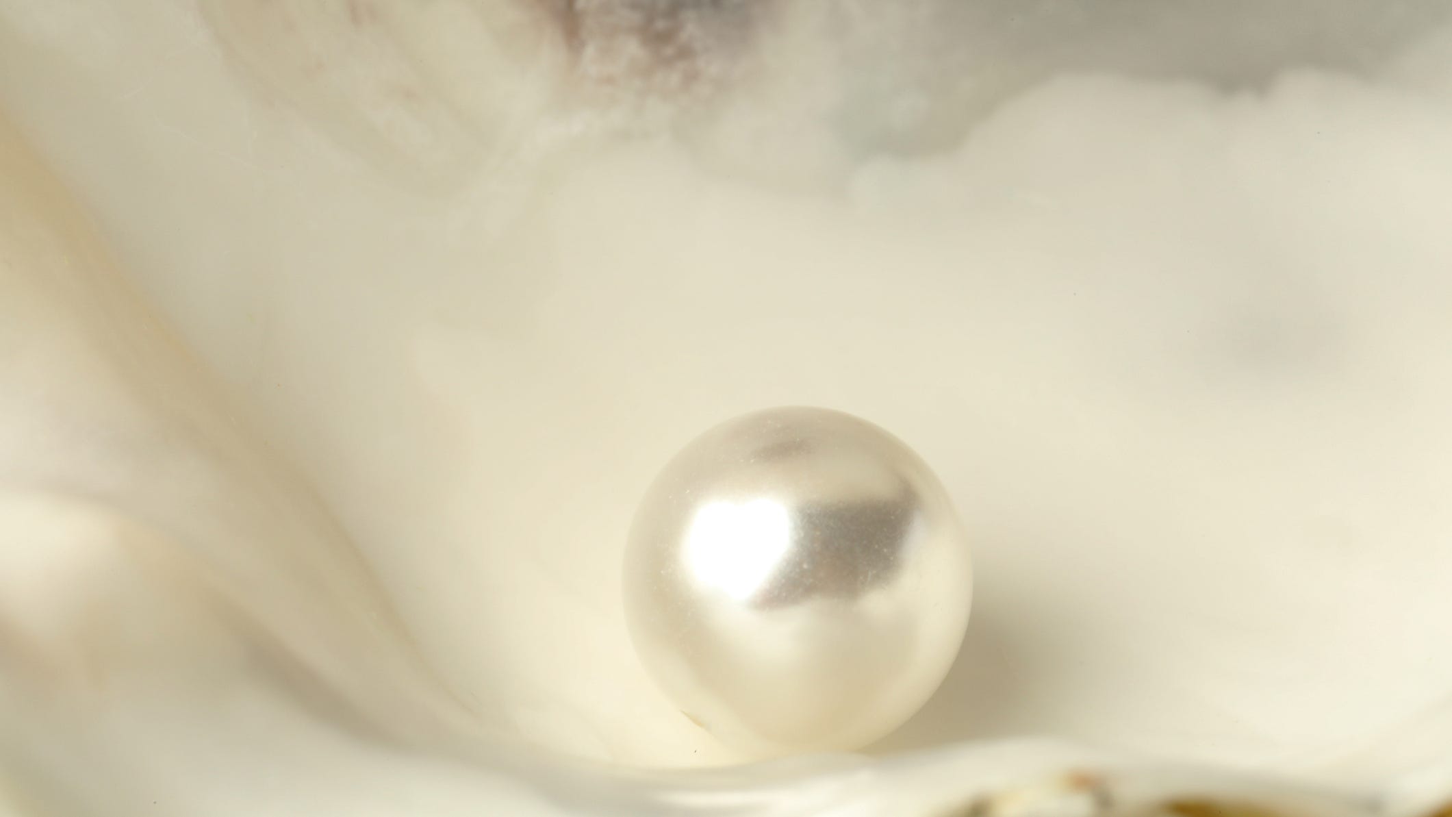 Woman finds one in 100,000 pearl in clam at dinner