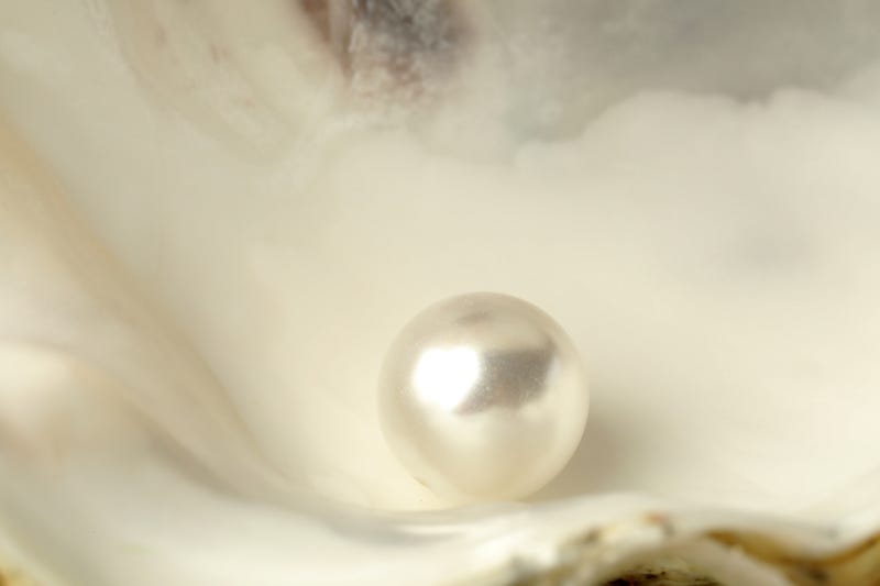 Pearl in a shell