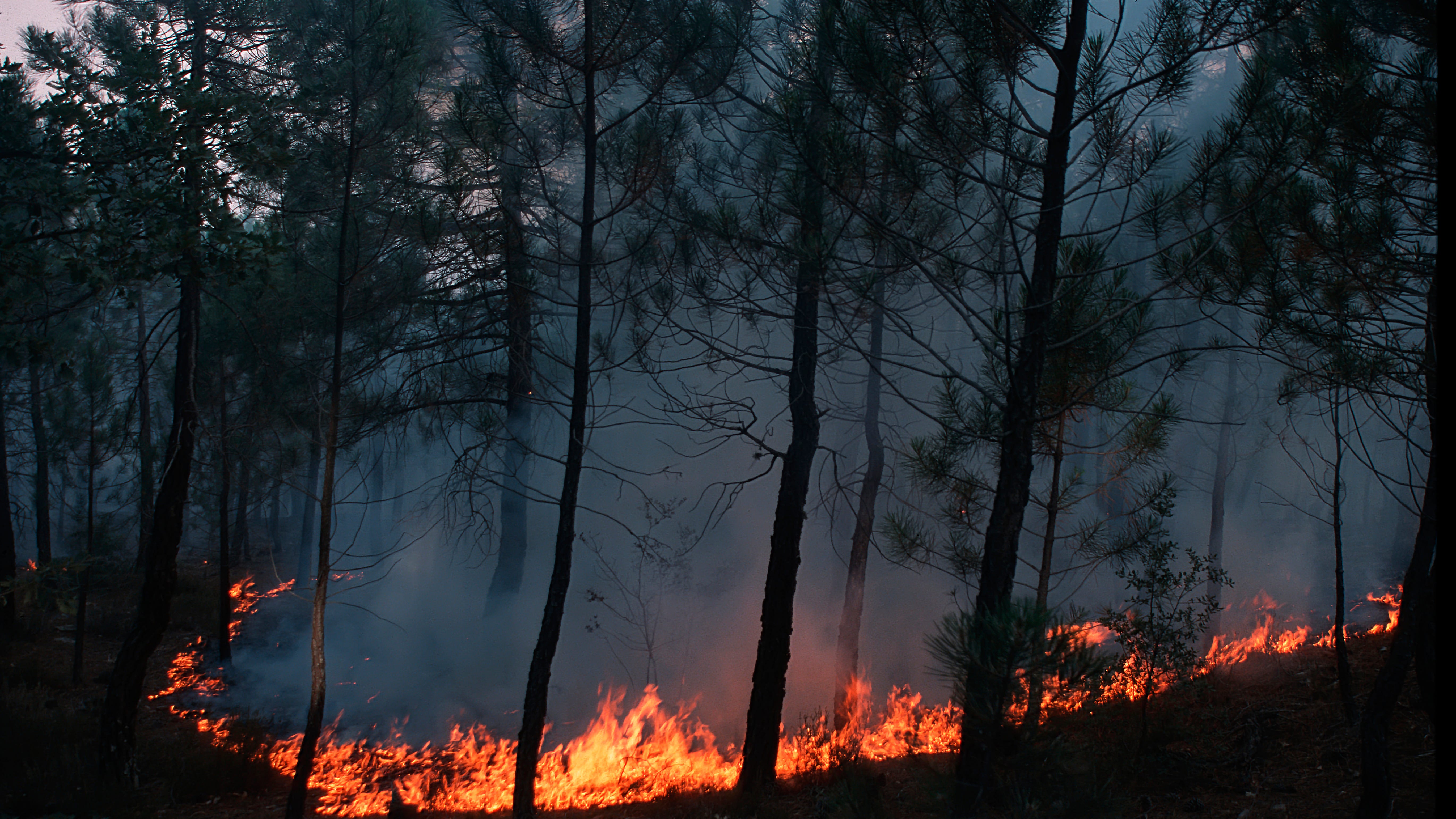 Firefighters in South Jersey working to contain wildfire near Atco Dragway