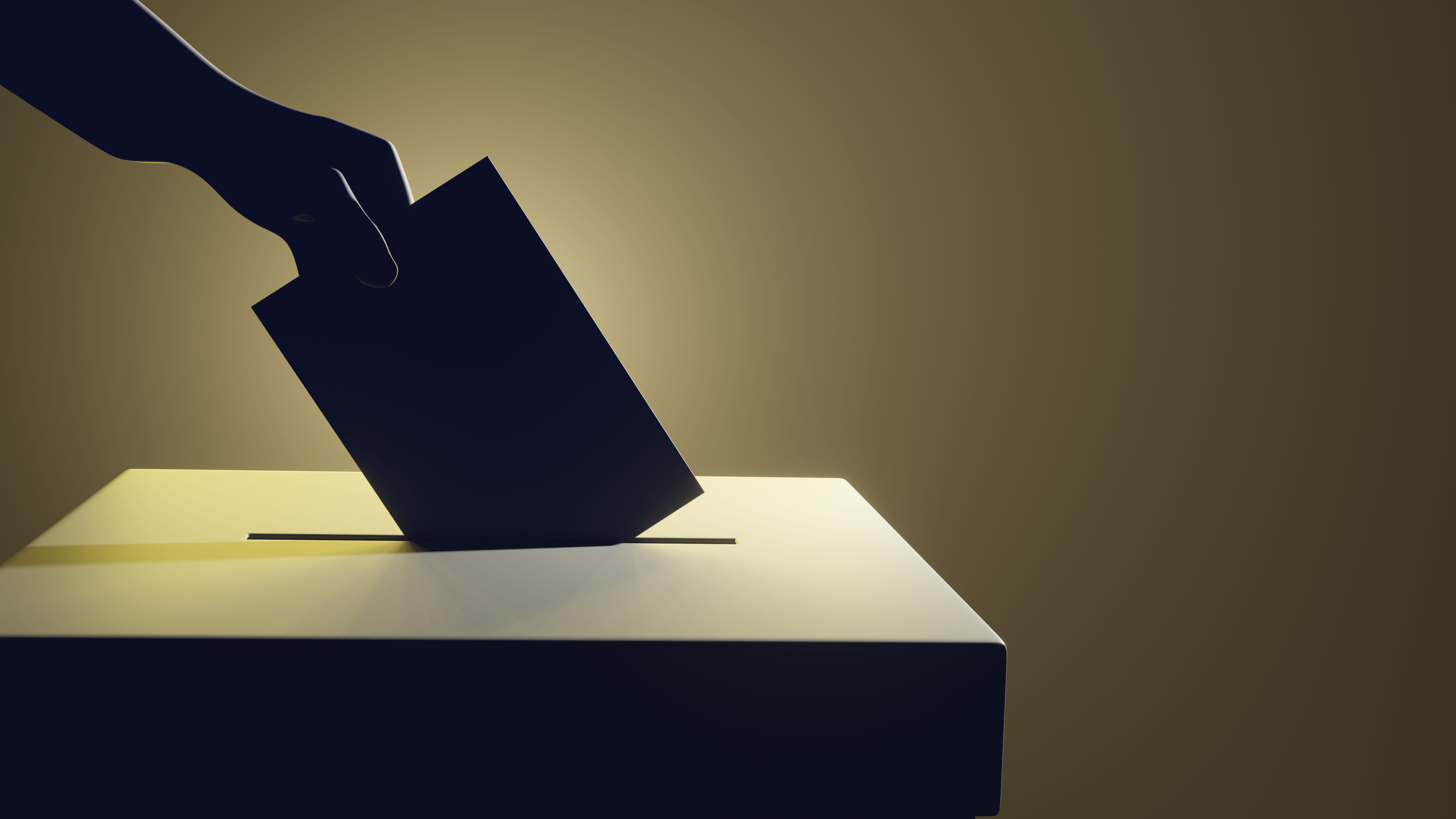 Alderman wants City Council to consider 'ranked voting elections'