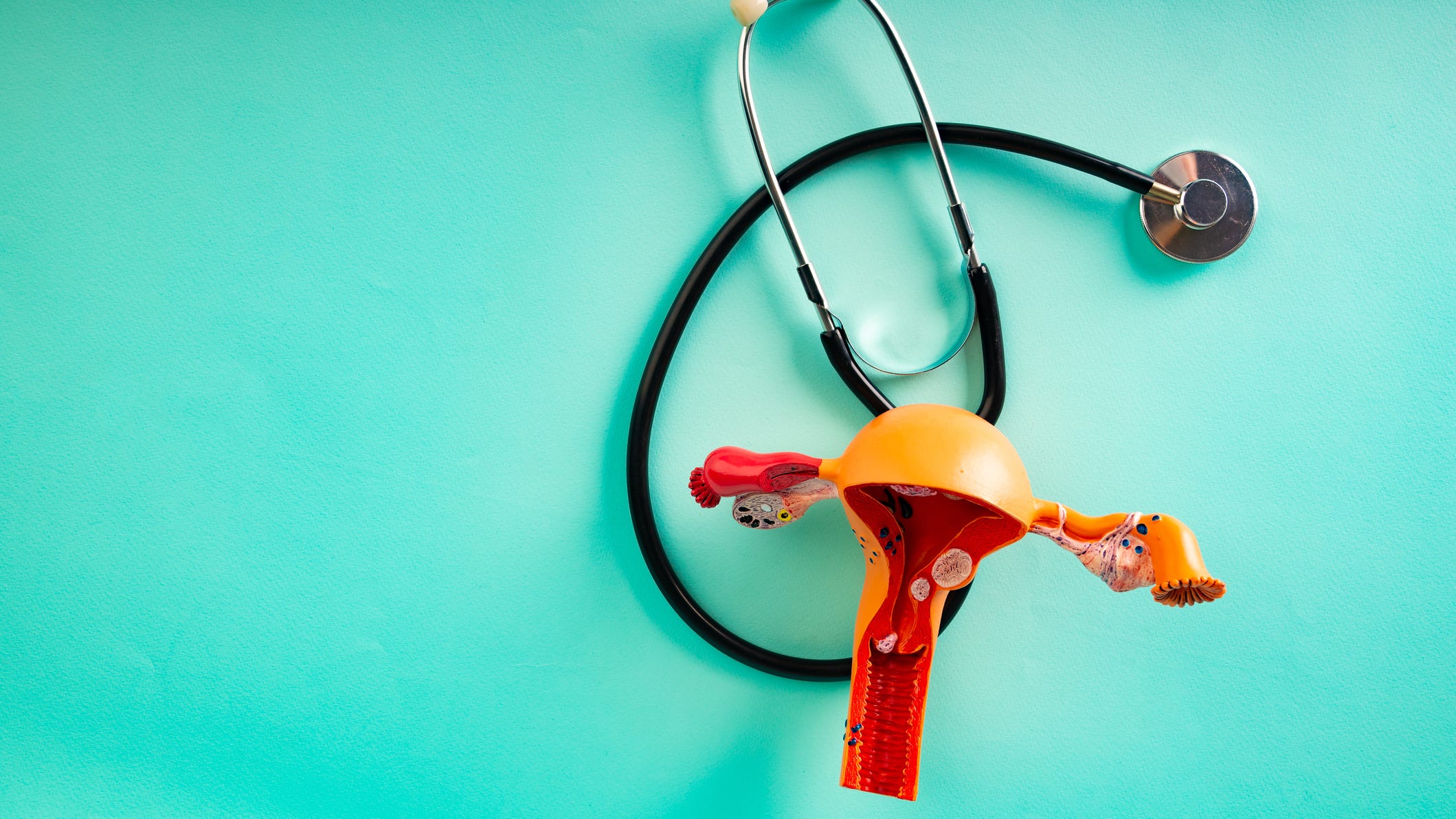 A Bay Area doctor flies to the Midwest to offer help where abortion demand is high