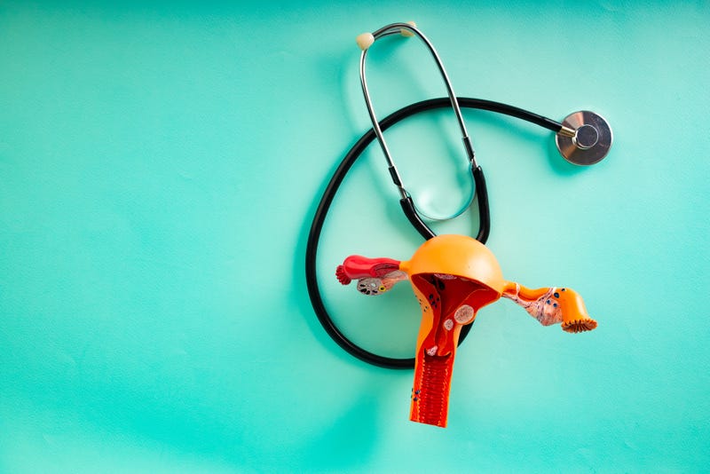 Model of female reproductive system and stethoscope.