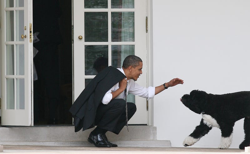 President Barack Obama greets his dog Bo outside the Oval Office of the White House March 15, 2012 in Washington, DC