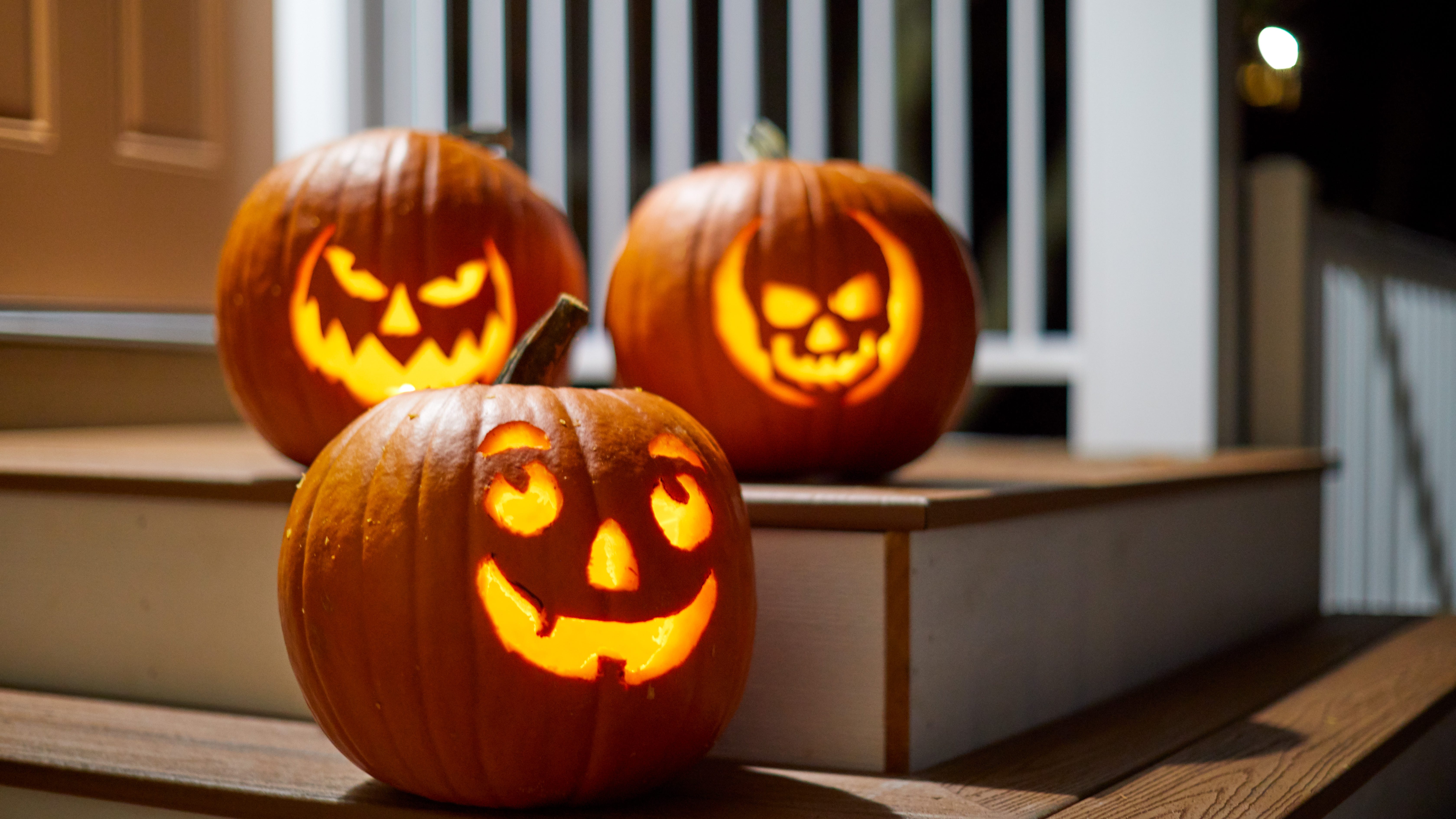 Things to do in Chicago this weekend: Pumpkin fests, Chicago Ghost tours, and more