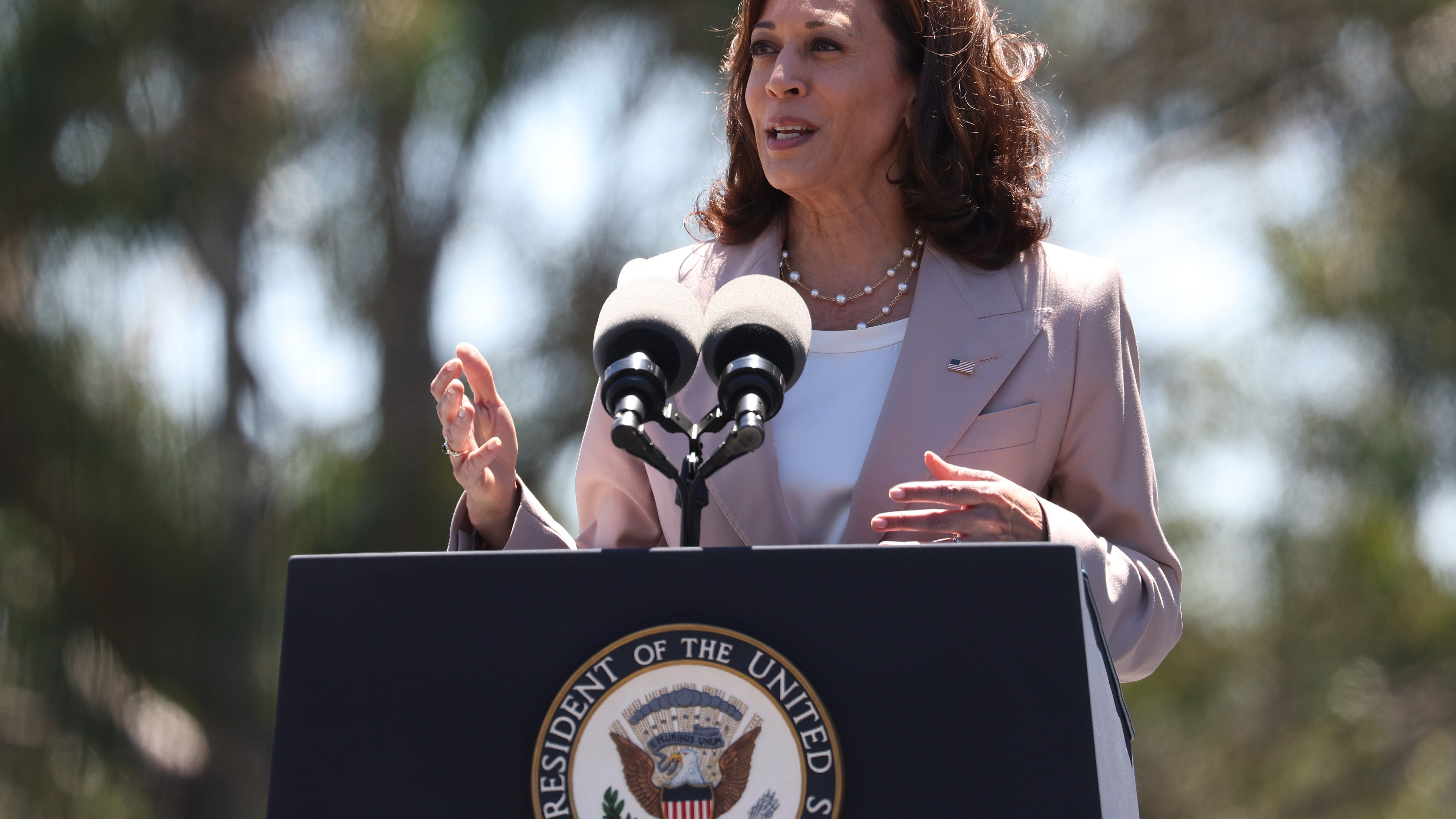 Harris discusses midterm elections at Newport Coast DNC fundraiser