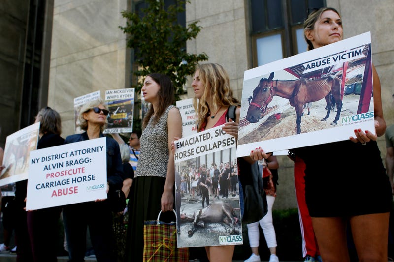 Demonstrators gather at a protest for Ryder the carriage horse