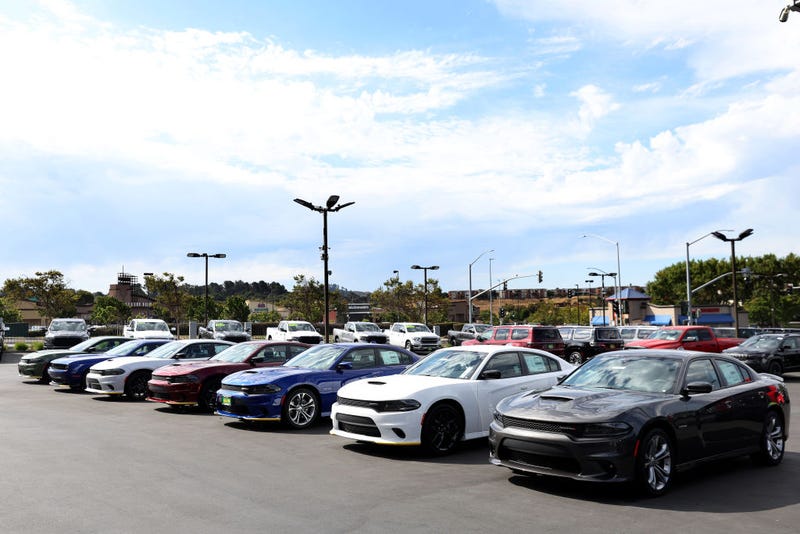 Row of Dodge Chargers