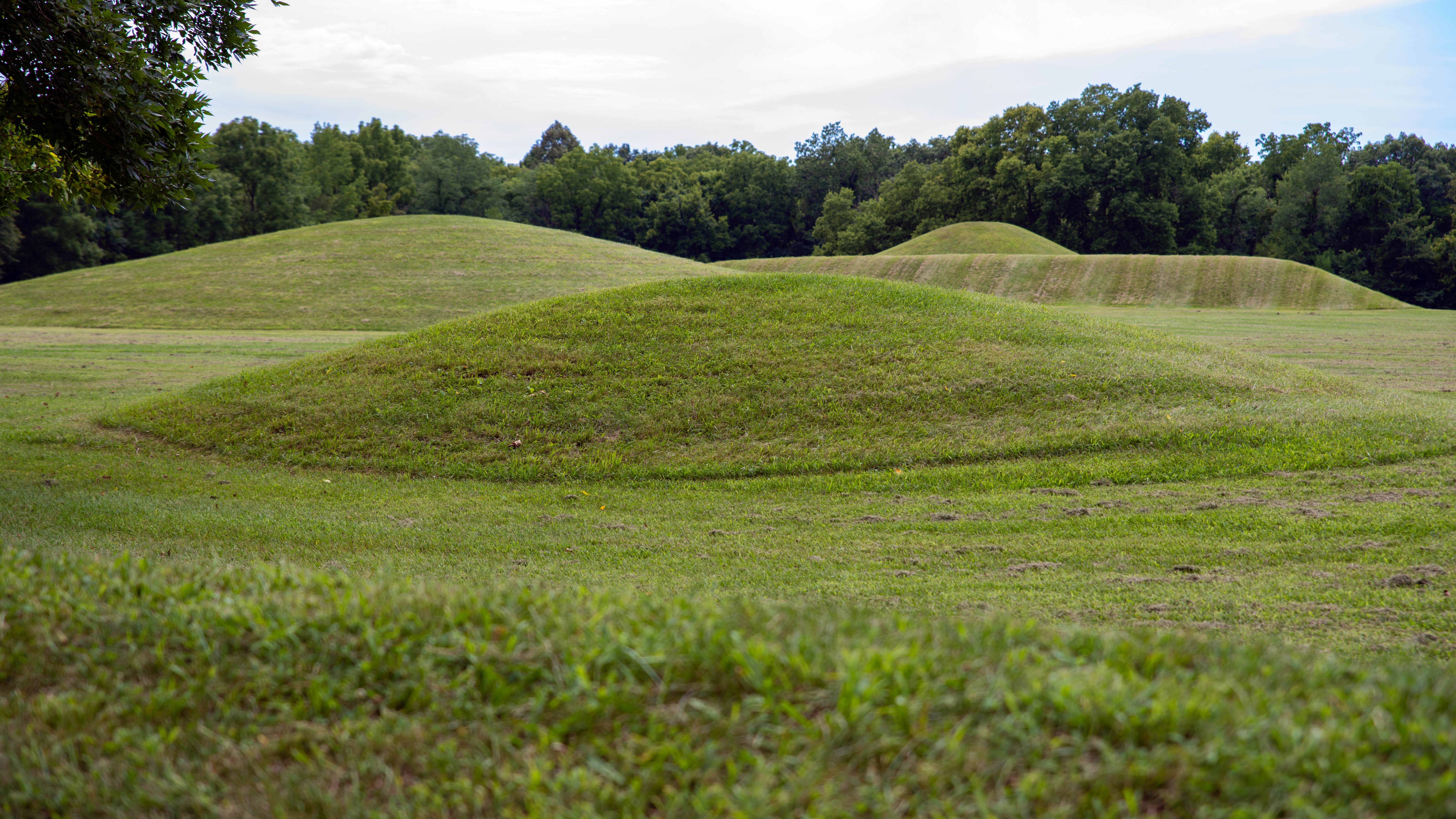 Over 130 Native American remains reburied by Michigan tribe were looted from burial sites nationwide by prolific grave robber: FBI
