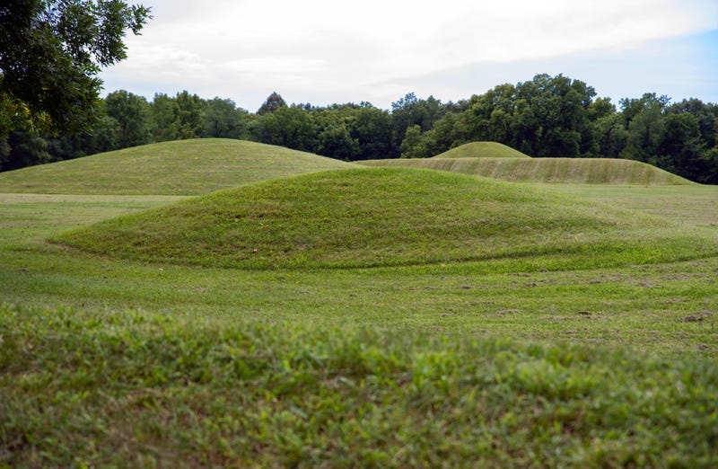 Partial remains of Native Americans that were laid to rest last fall by a Michigan tribe were looted by an amateur archeologist and prolific grave robber, who agents say amassed a horde of stolen artifacts from around the world.