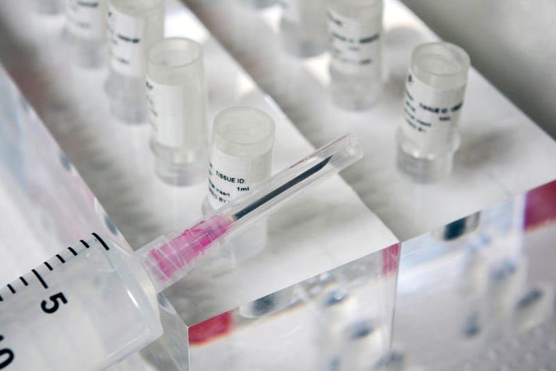 Bone Marrow, Be The Match, Transplant, Non-Profit