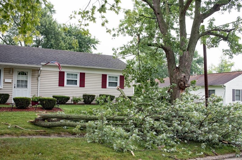 Cottage Grove is cleaning up after a storm wiped out trees in the area while the National Weather Service is surveying damage in Anoka and Isanti Counties. Plus, Xcel Energy is dealing with another round of power outages.