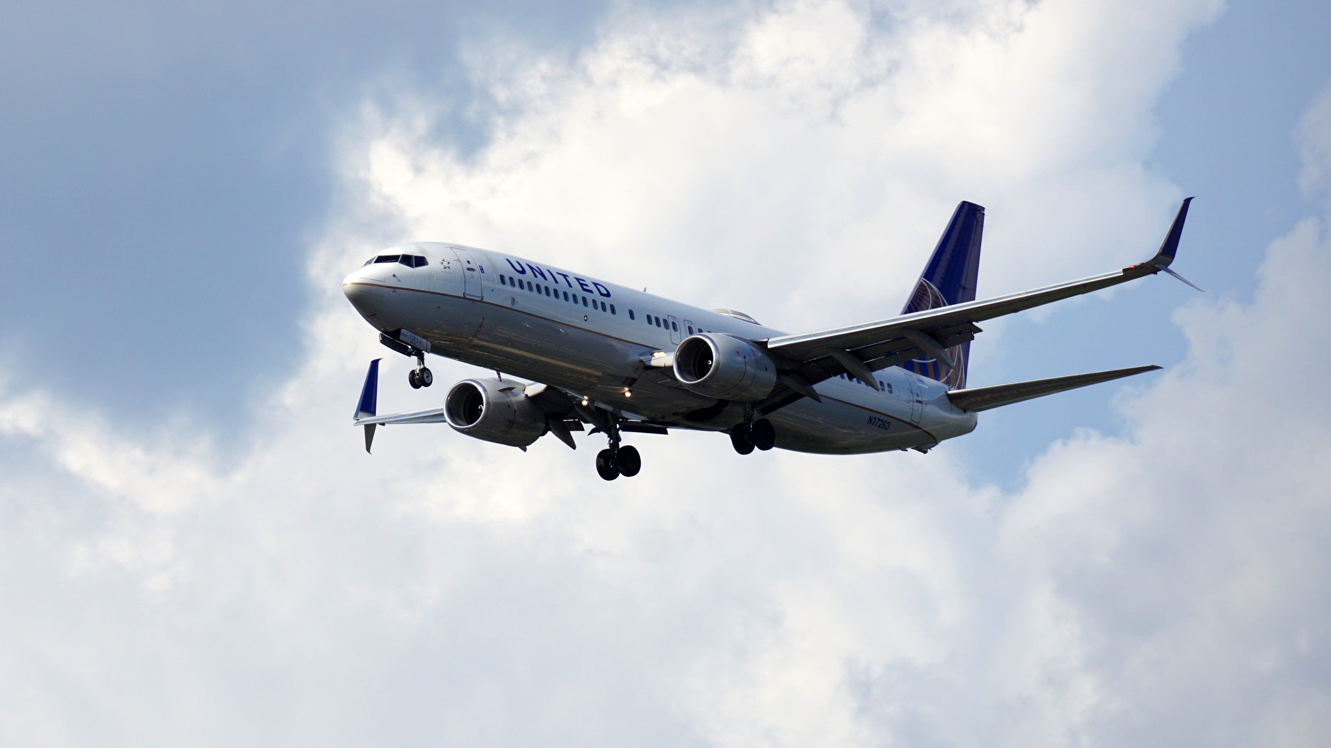 United Airlines flight returns to Chicago after bird strike